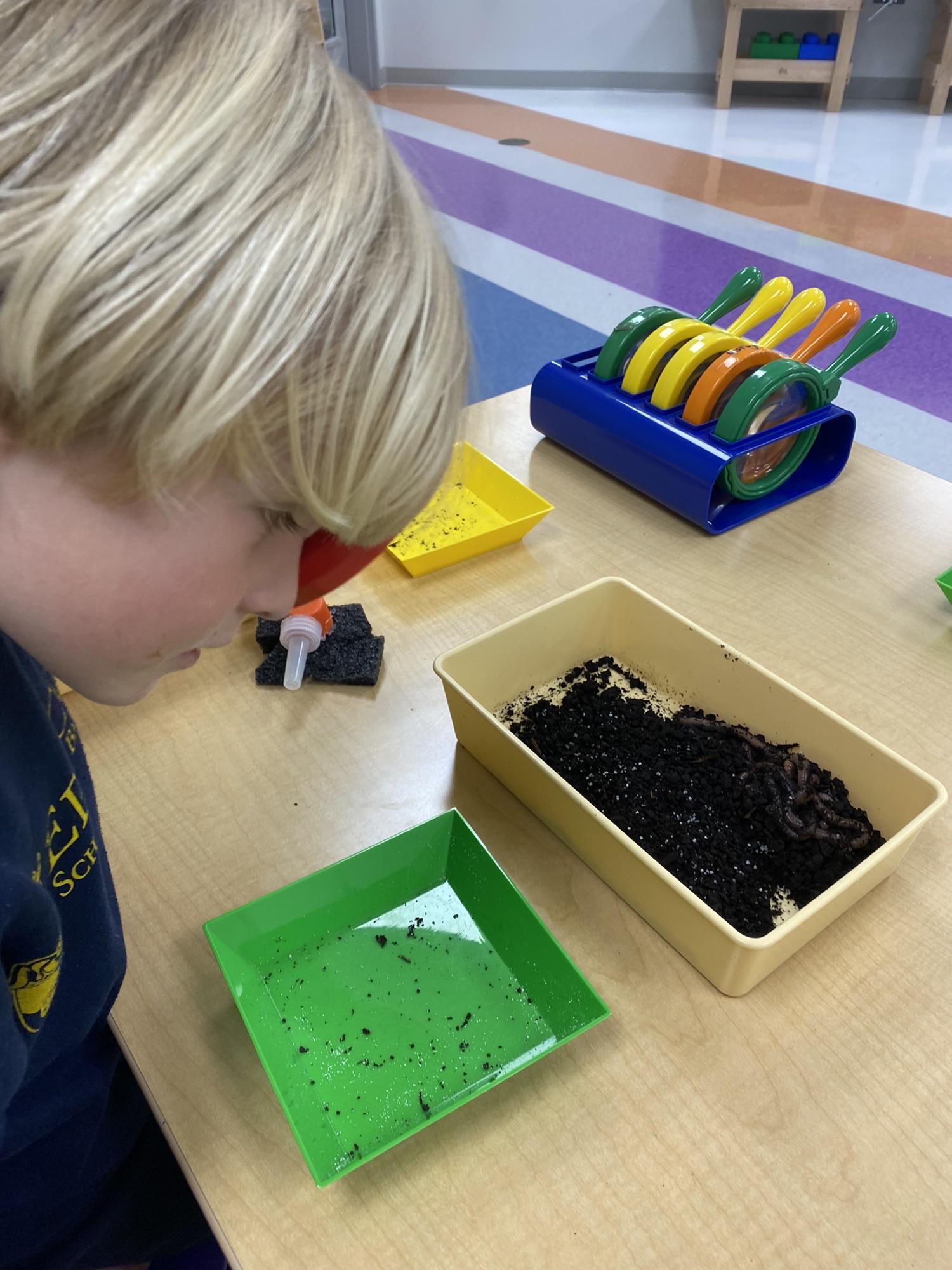 PreK science explorers